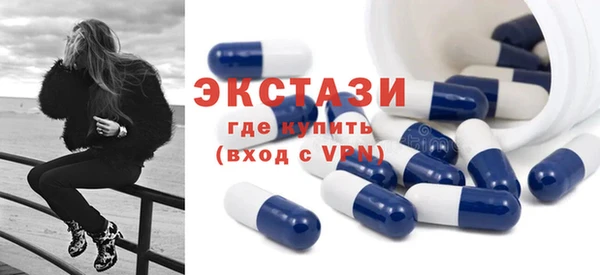 ECSTASY Бородино